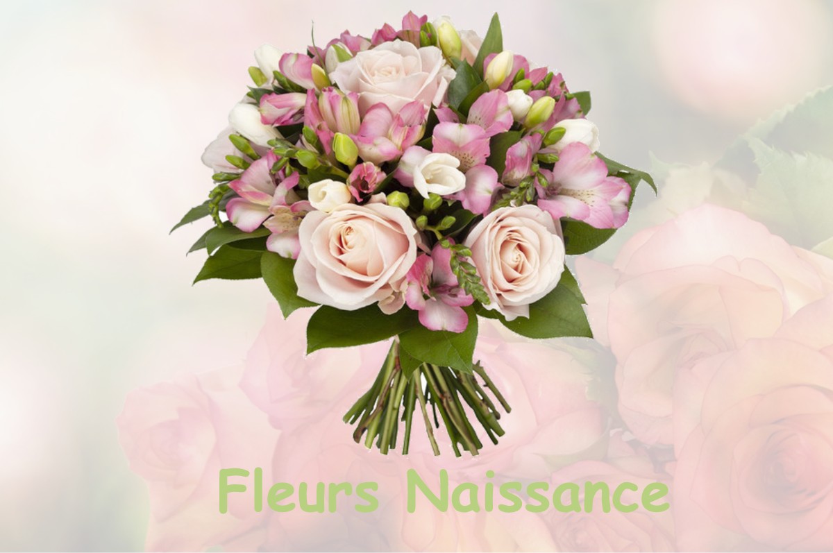 fleurs naissance MORGANX